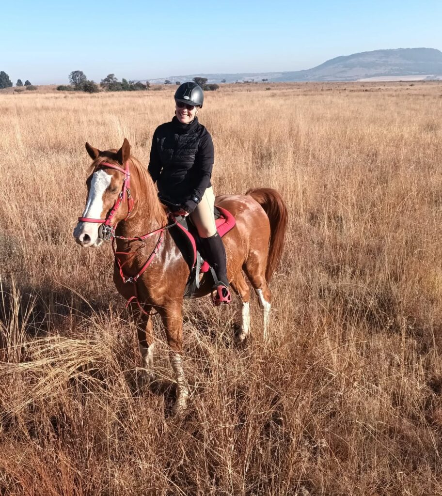 Blue saddle ranches equestrian lifestyle