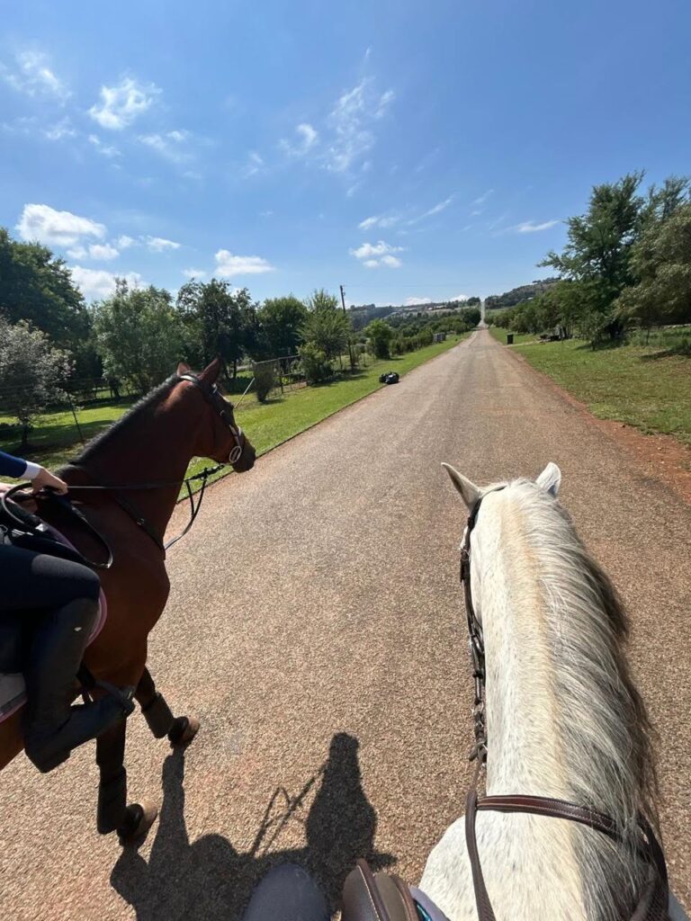 Blue saddle ranches equestrian lifestyle