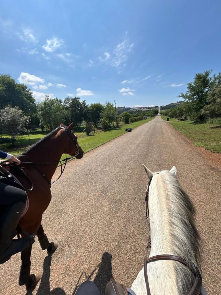 Blue saddle ranches equestrian lifestyle