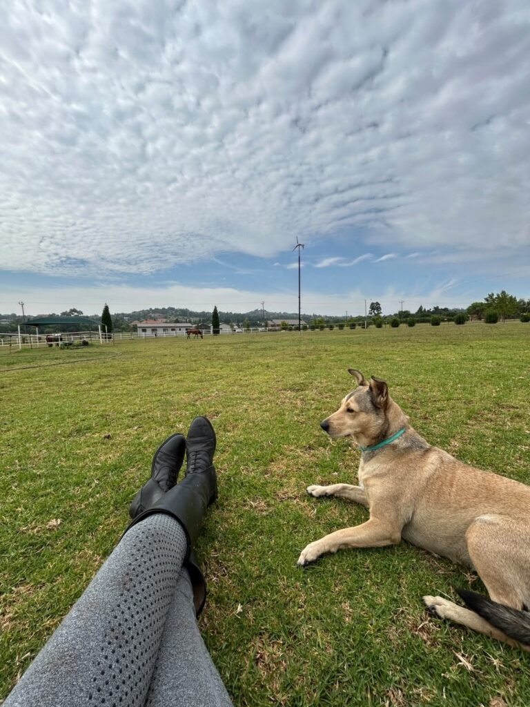 Blue saddle ranches equestrian lifestyle