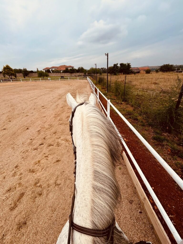 Blue saddle ranches equestrian lifestyle